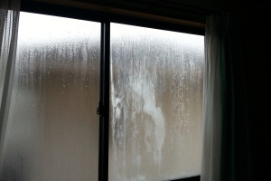 20160319_105620