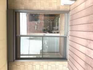 IMG_3425